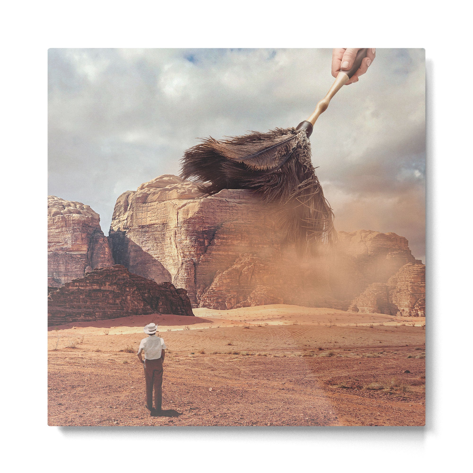 Desert feather duster Metal Print Gallery Image 2