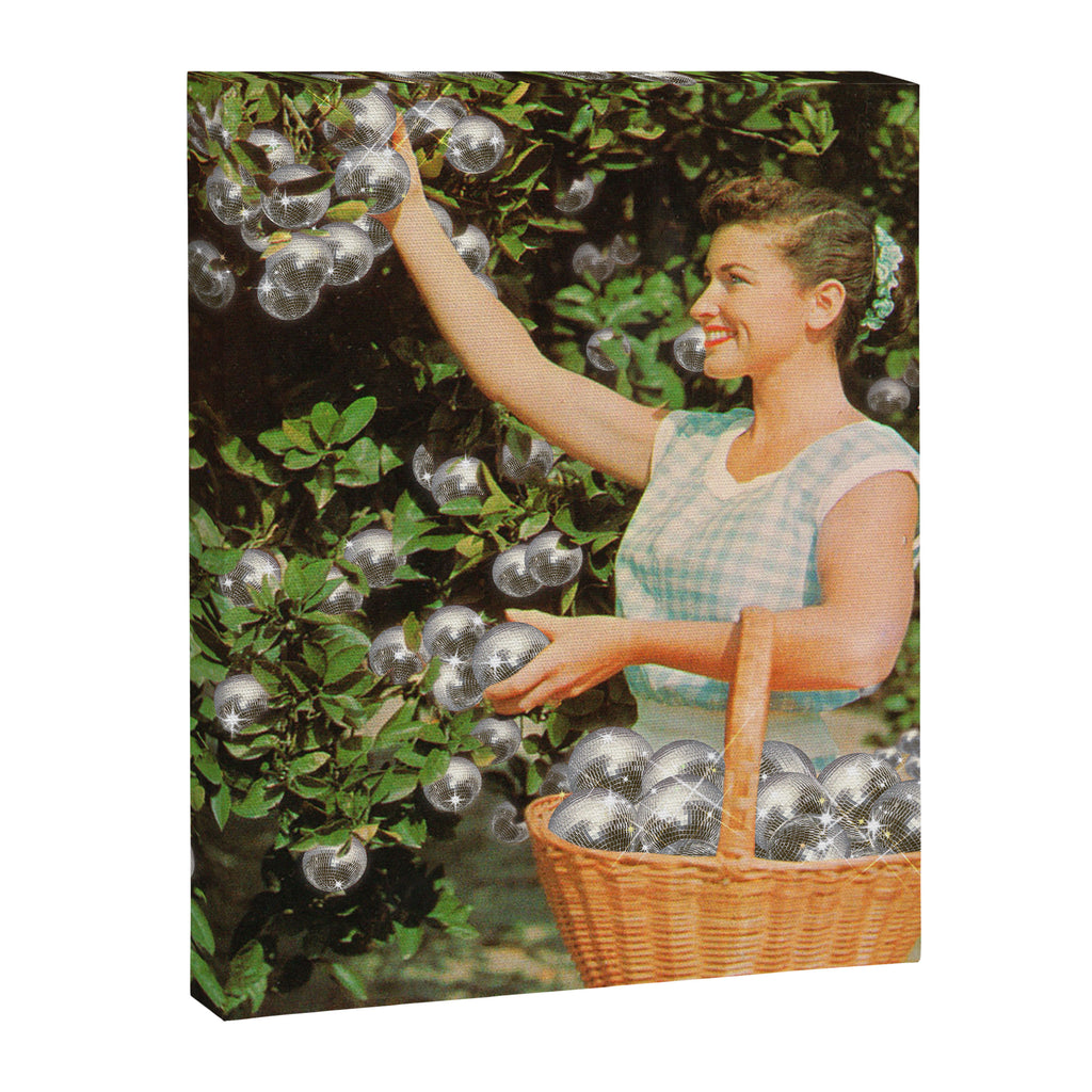 Disco Ball Grove Canvas Print Gallery Image 6