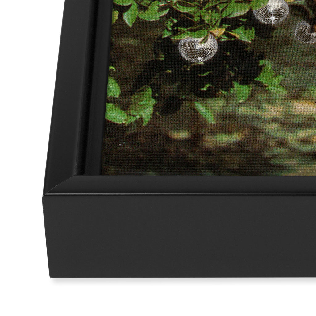 Disco Ball Grove Framed Canvas Print Gallery Image 3