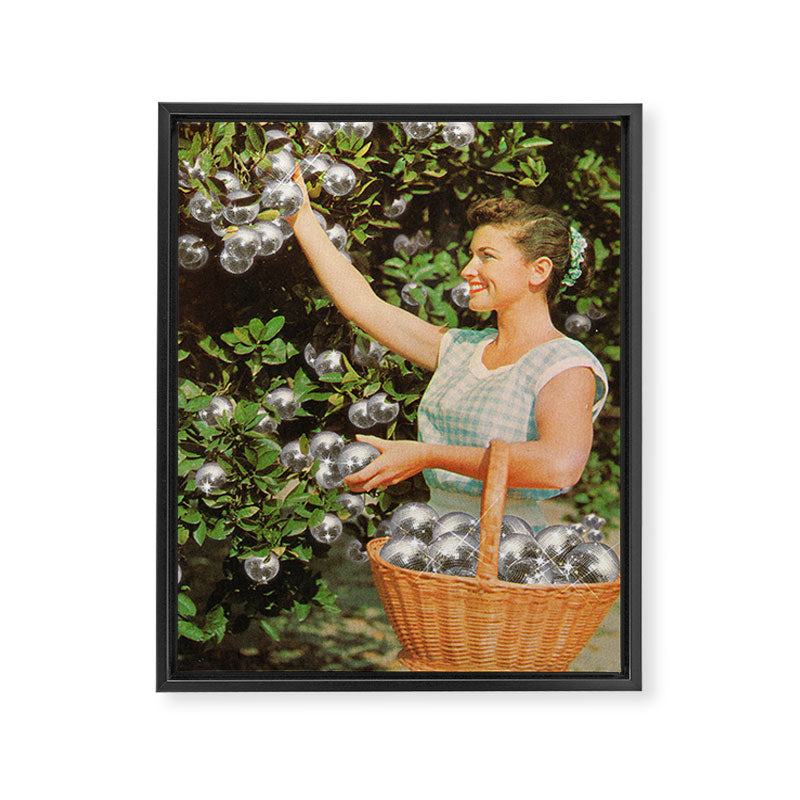 Disco Ball Grove Framed Canvas Print Gallery Image 6