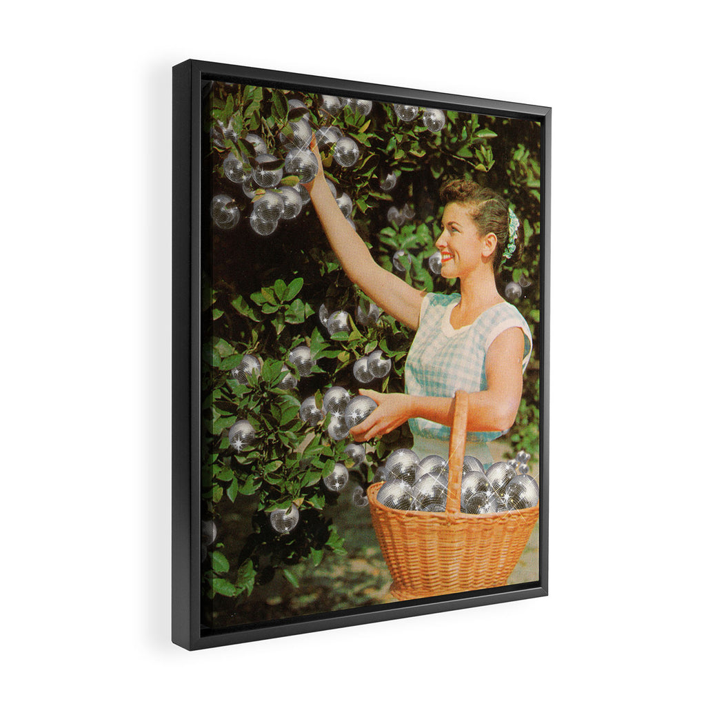 Disco Ball Grove Framed Canvas Print Gallery Image 2