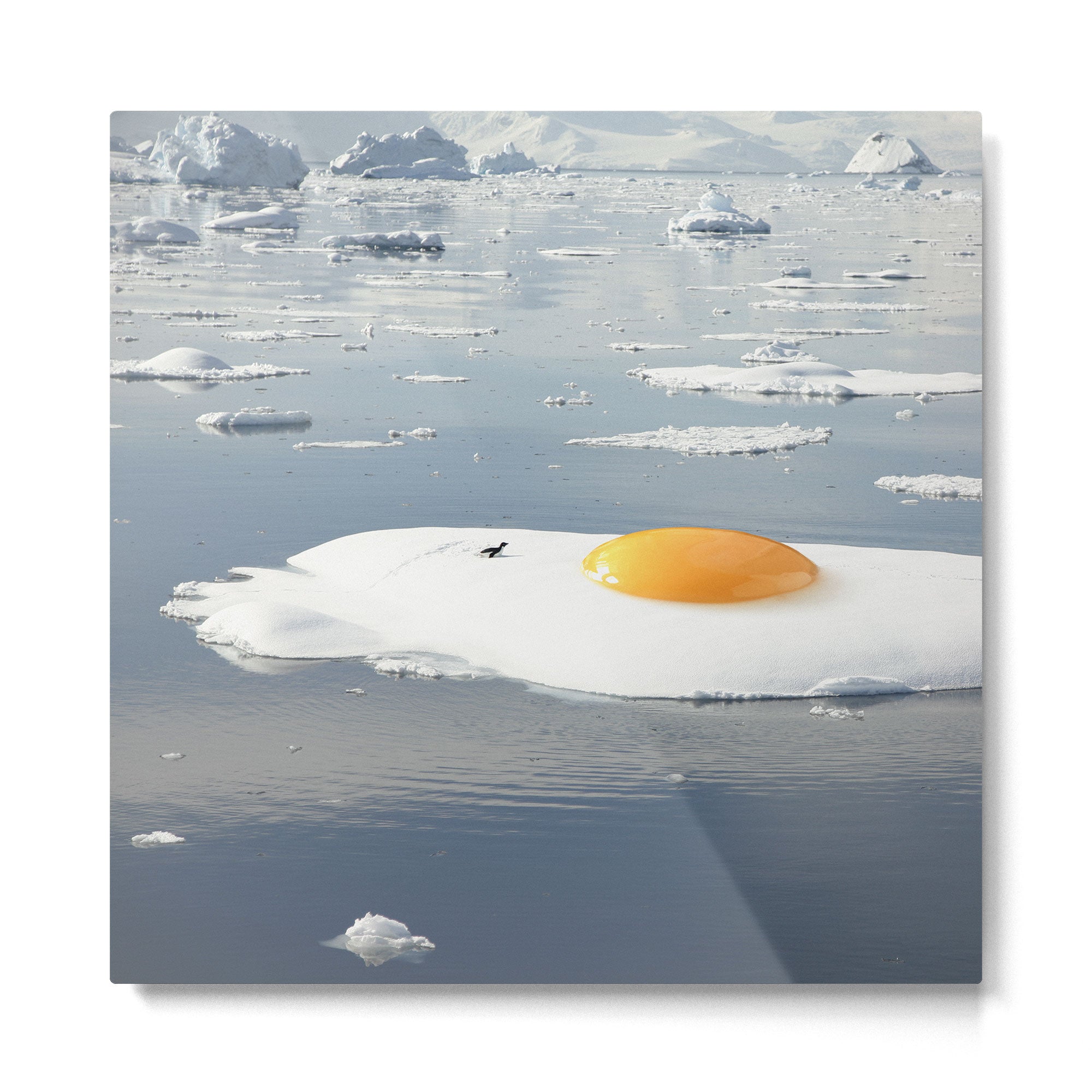 Egg-berg - Arctic Egg Sunny Side Up Metal Print Gallery Image 2