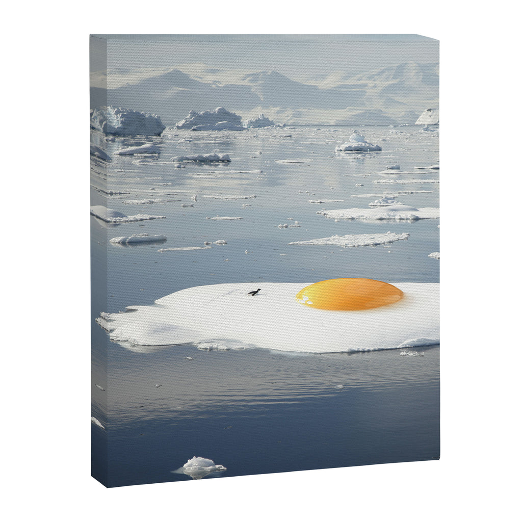 Egg-berg II - Arctic Egg Sunny Side Up Canvas Print Gallery Image 6