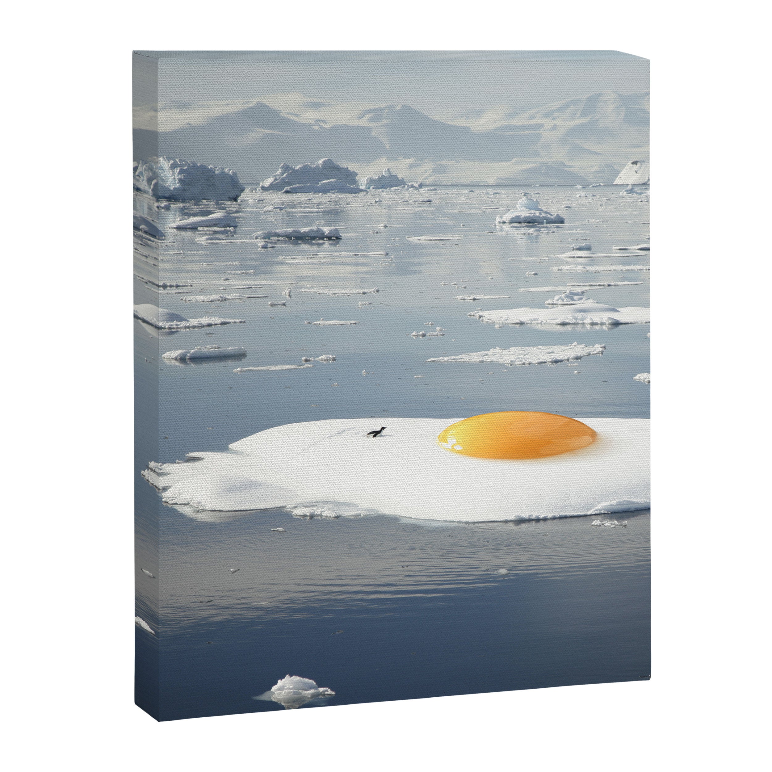Egg-berg II - Arctic Egg Sunny Side Up Canvas Print Gallery Image 6