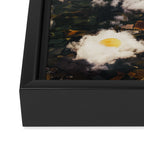Eggy Clouds II - Sunny side up clouds Framed Canvas Print Gallery Image 3