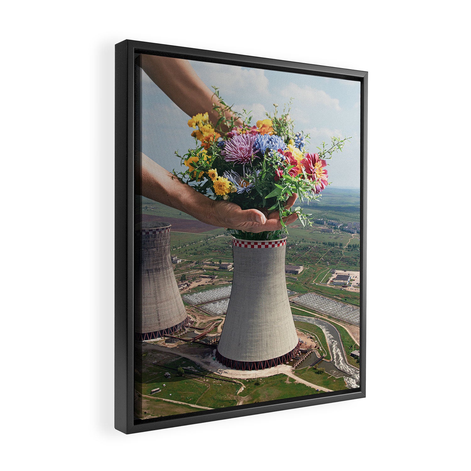 Flower Plant II Framed Canvas Print Gallery Image 2