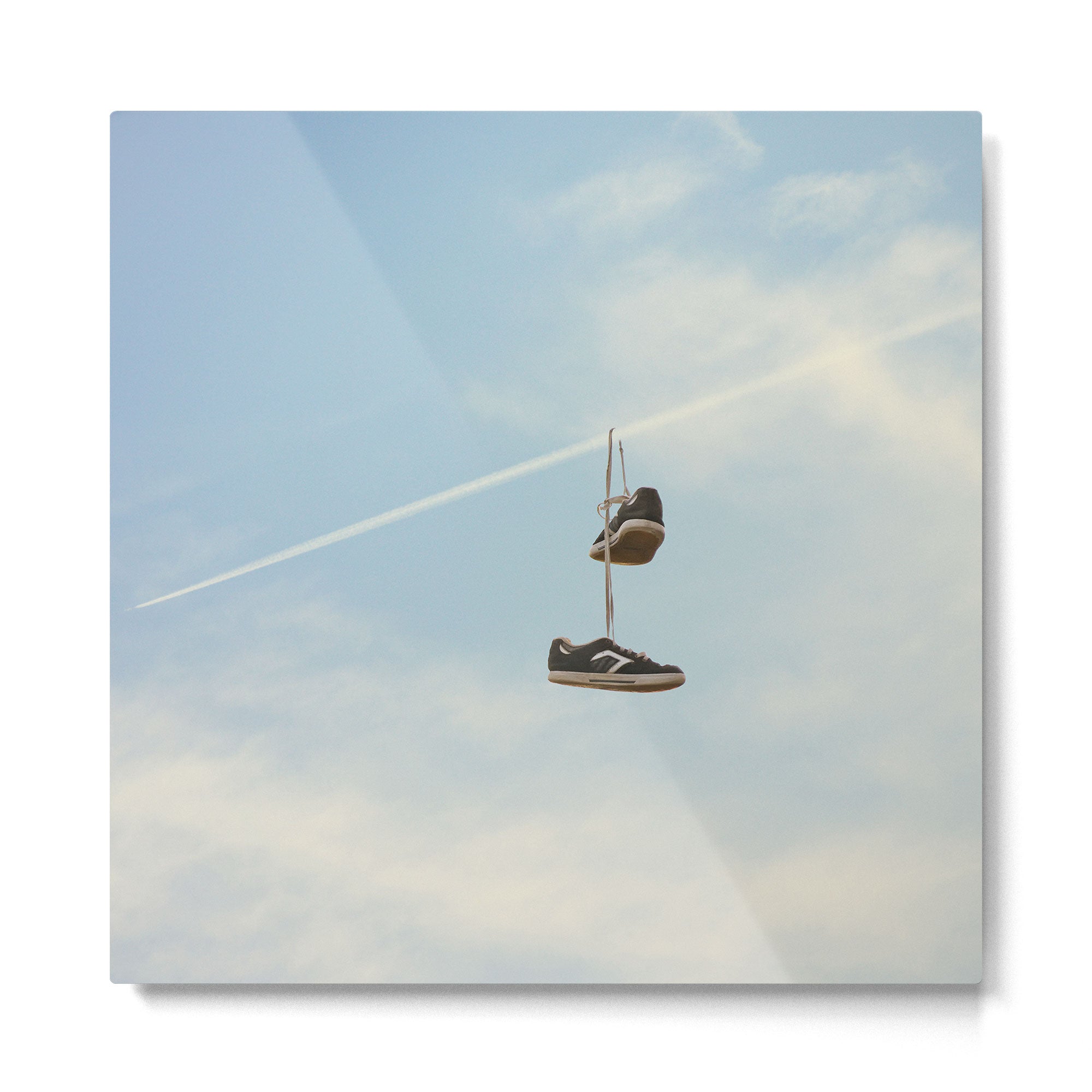 Hang'n there - Skyline Metal Print Gallery Image 2
