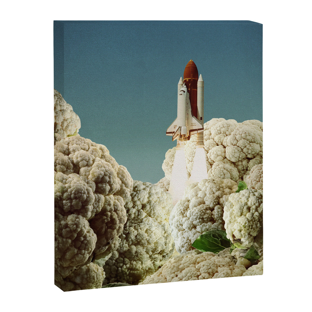 Houston we have cauliflower II - Rocket take-off Canvas Print Gallery Image 6