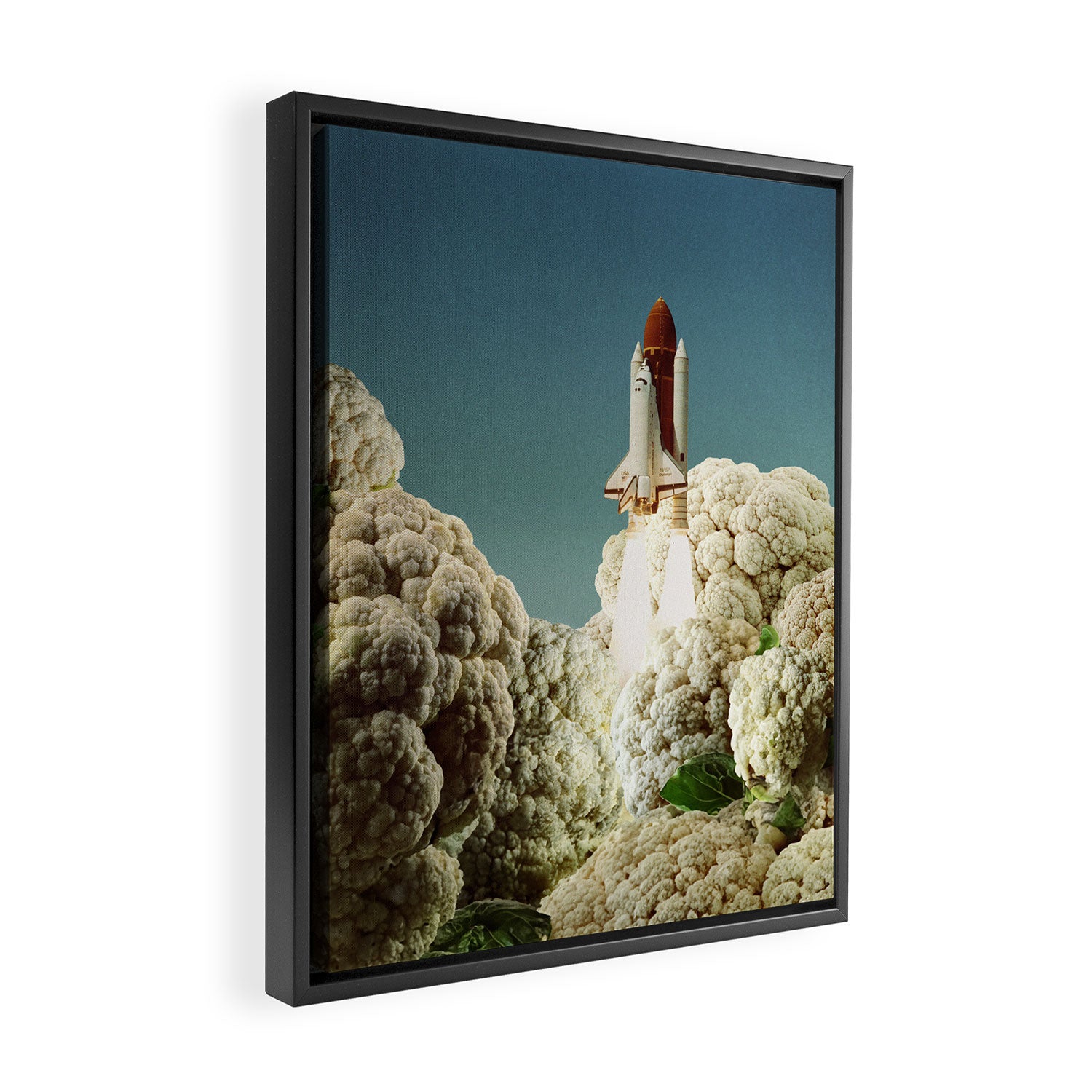 Houston we have cauliflower II - Rocket take-off Framed Canvas Print Gallery Image 2