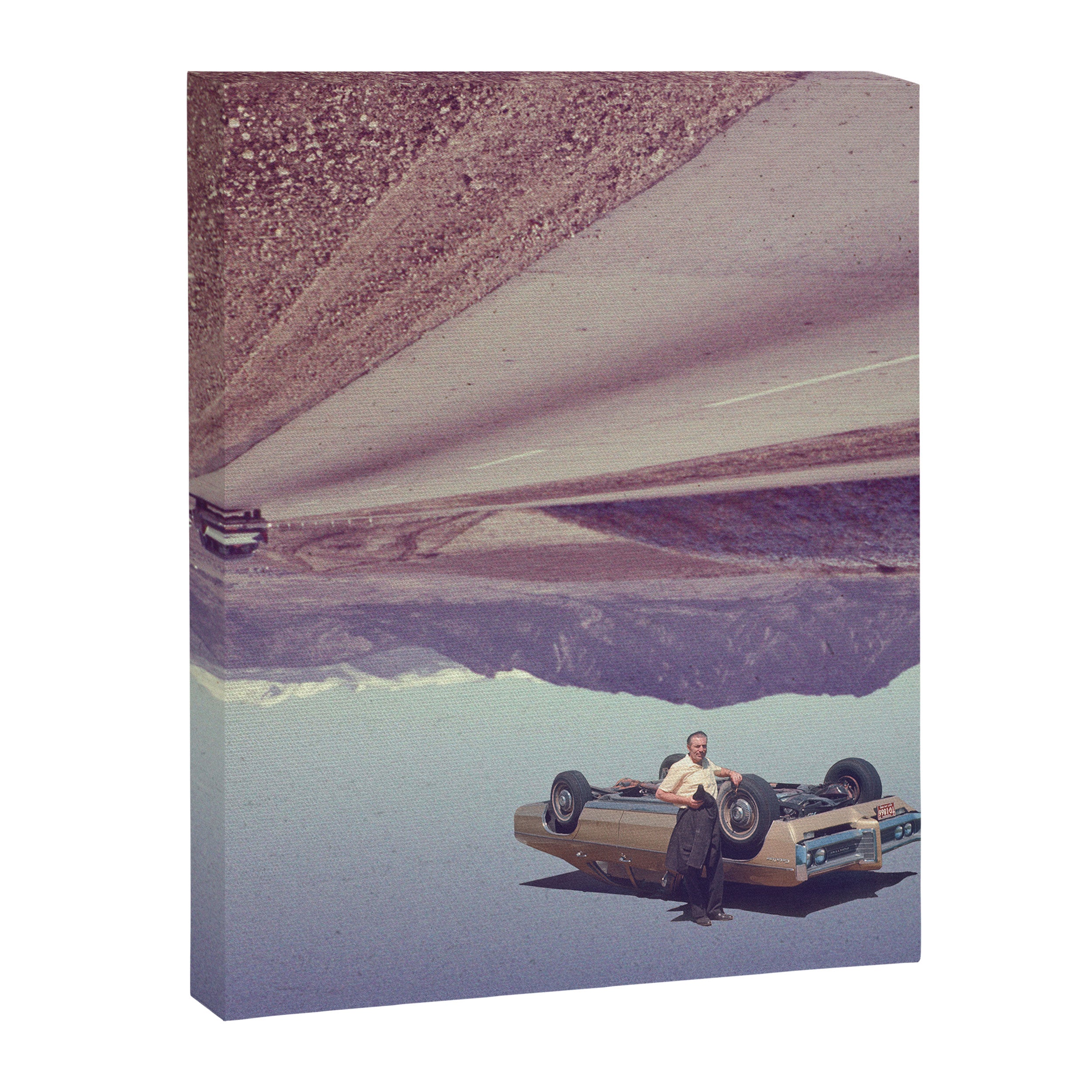 Joyride - Upside down Canvas Print Gallery Image 8
