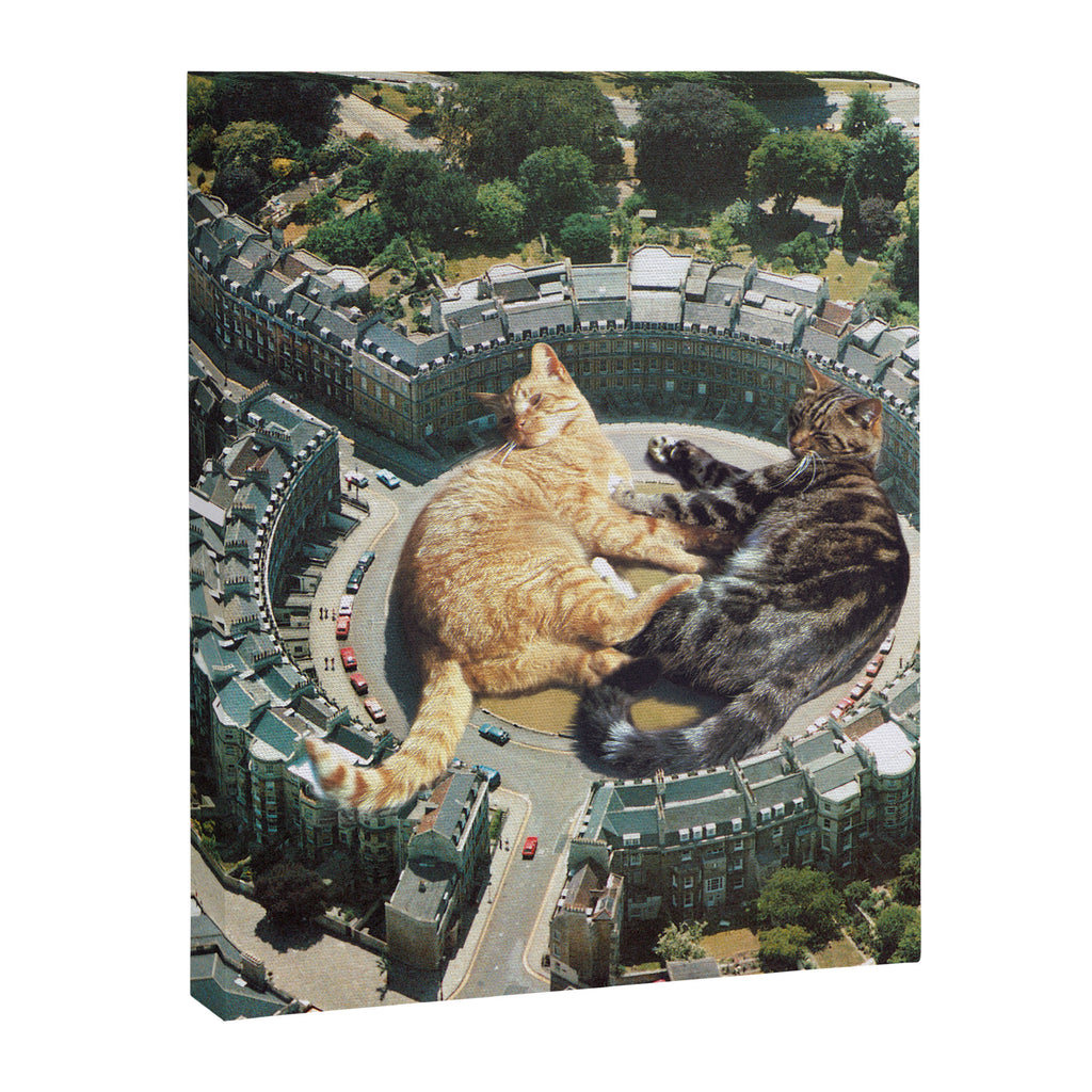 Lazy Cats Roundabout  Canvas Print Gallery Image 8