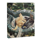 Lazy Cats Roundabout  Canvas Print Gallery Image 8
