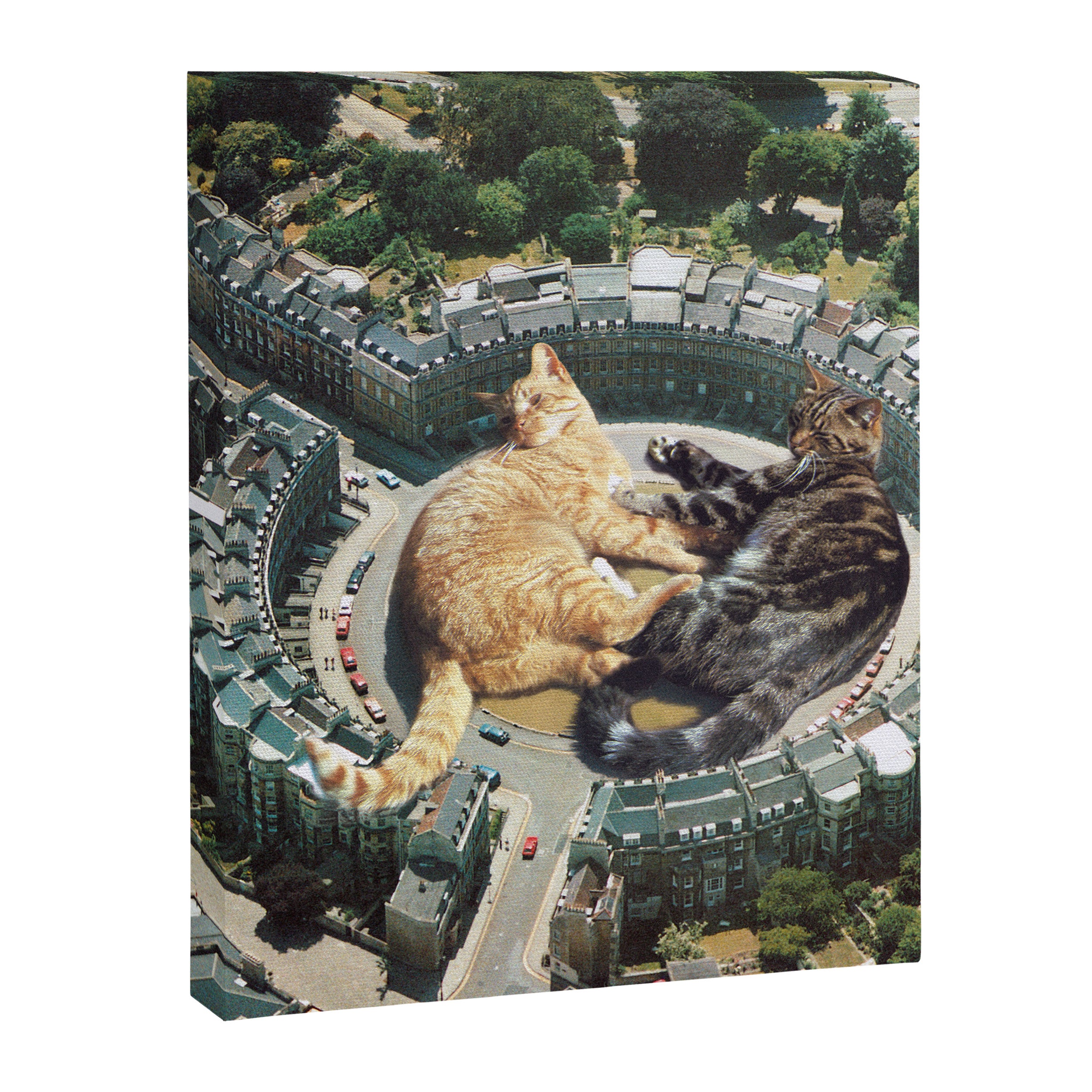 Lazy Cats Roundabout  Canvas Print Gallery Image 8