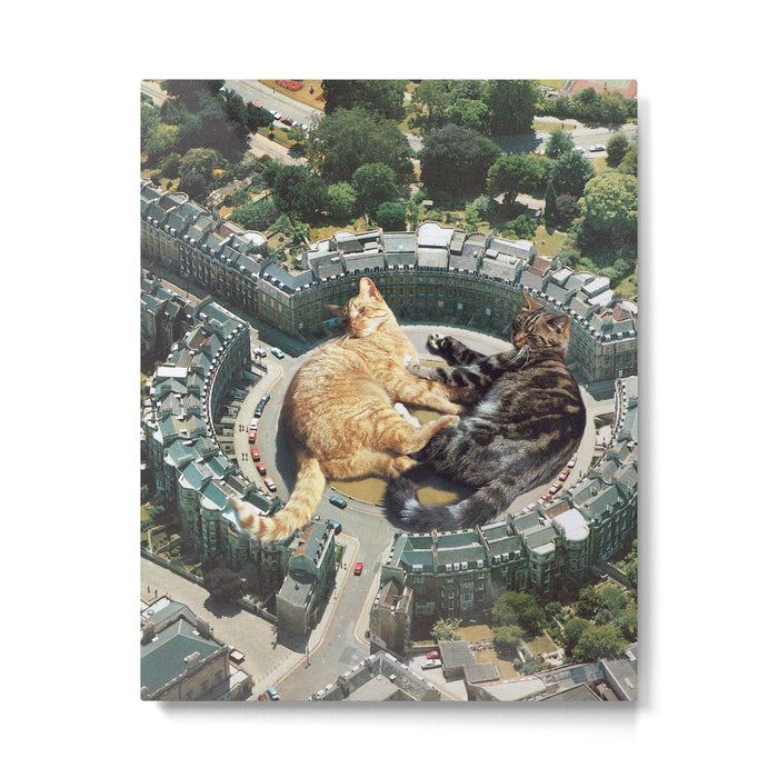 Lazy Cats Roundabout  Metal Print Gallery Image 1