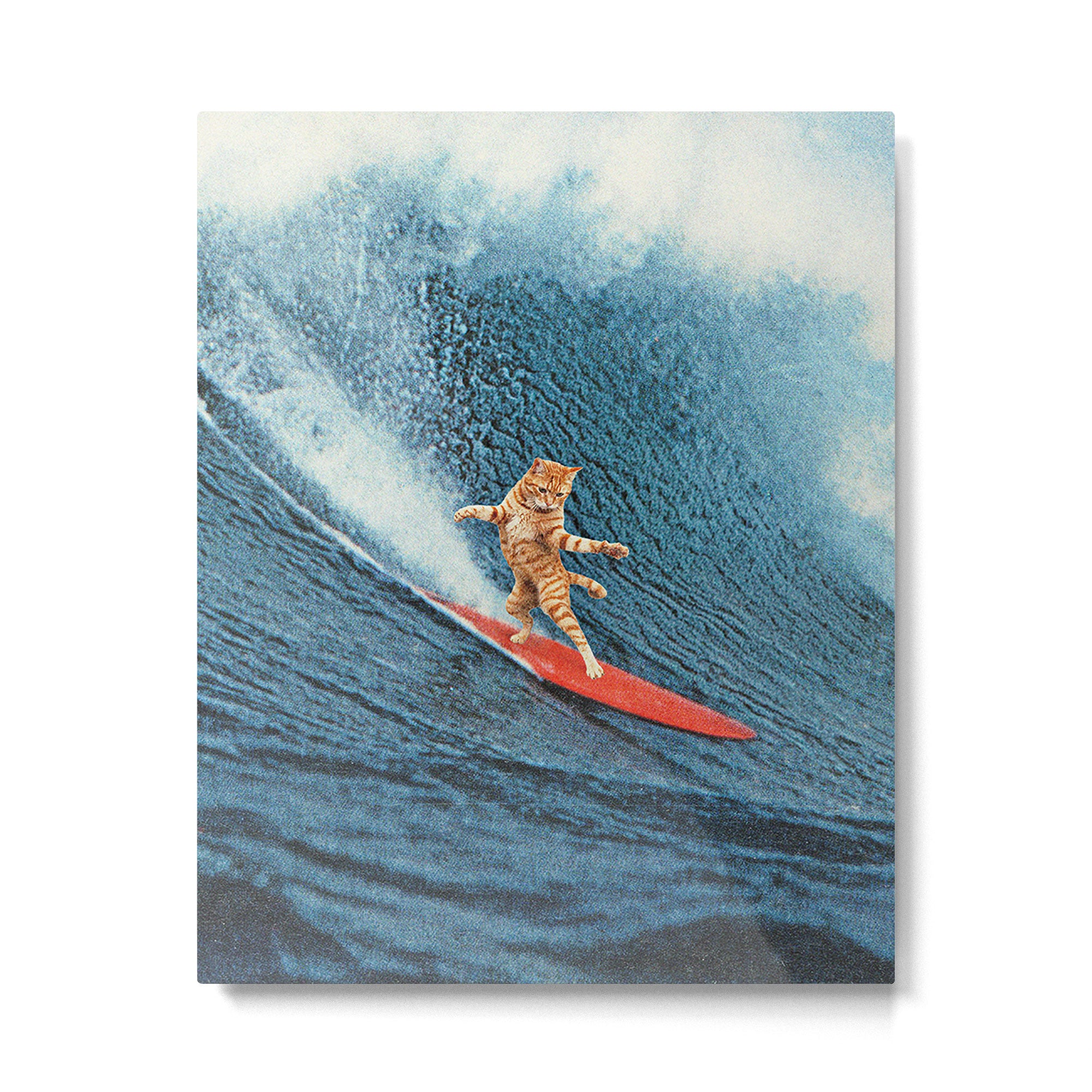 Meowmi Vice - Ginger Cat Surfing Metal Print Gallery Image 6