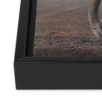 Not-acrylic Framed Canvas Print Gallery Image 3