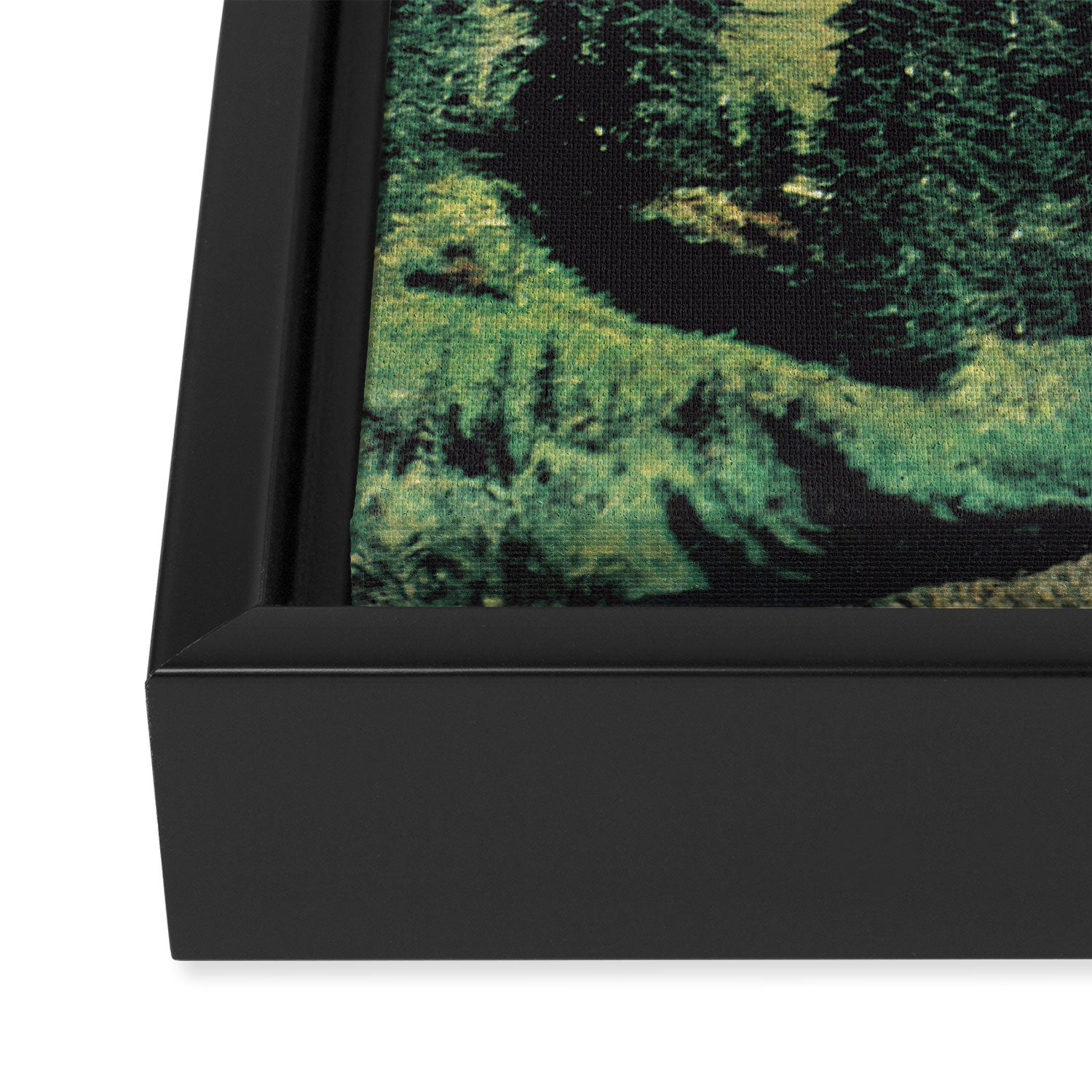 Rub-A-Dub Ridge / Mountain Scrub Framed Canvas Print Gallery Image 3