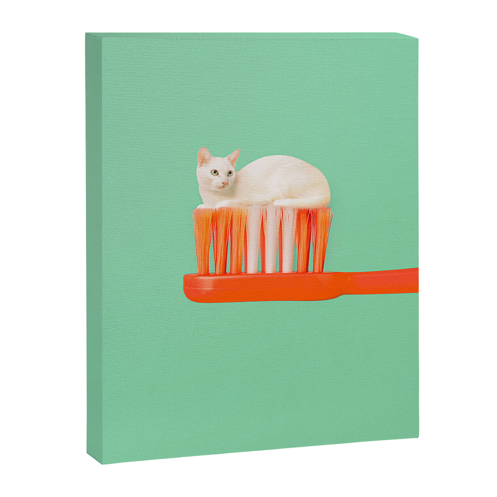 Toothpaste Cat Canvas Print Gallery Image 6