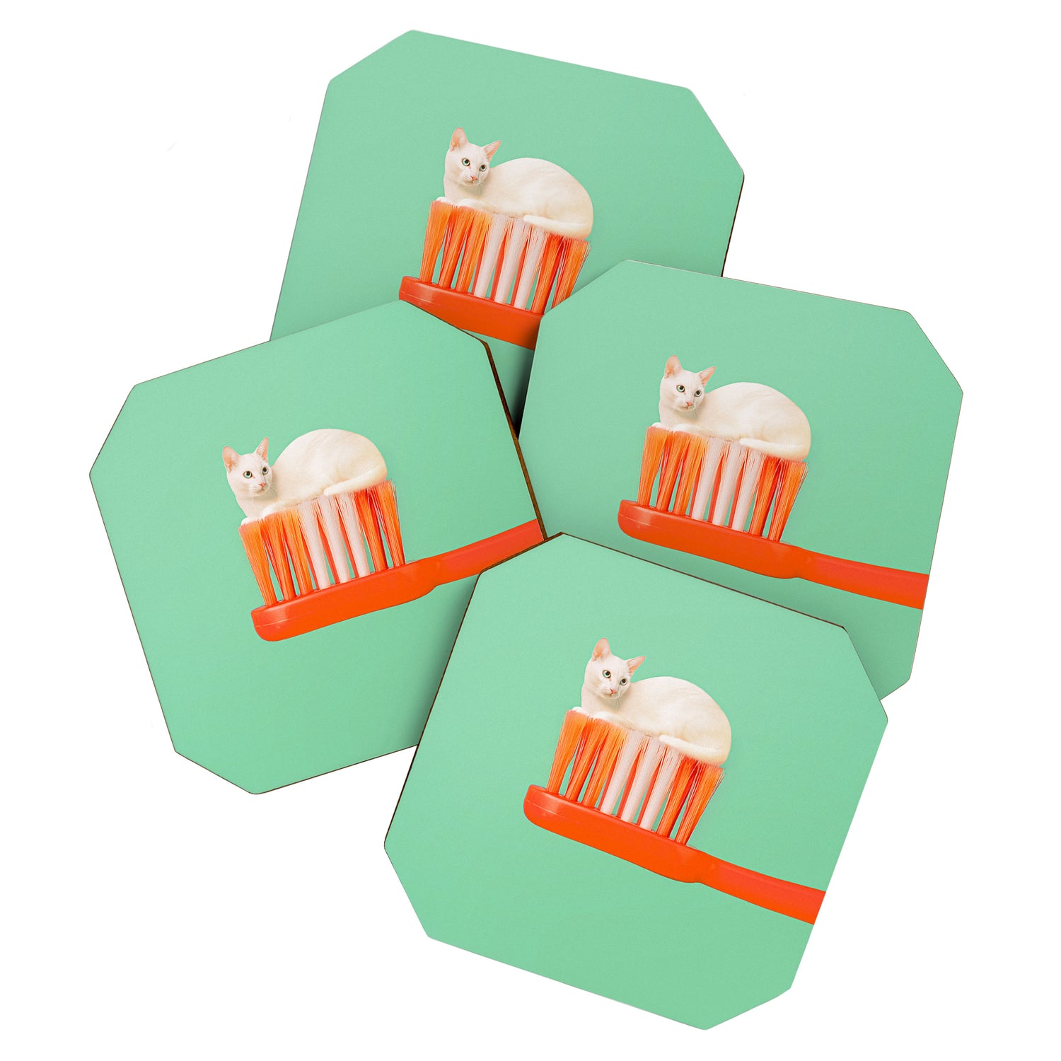 Toothpaste Cat Coaster Gallery Image 1