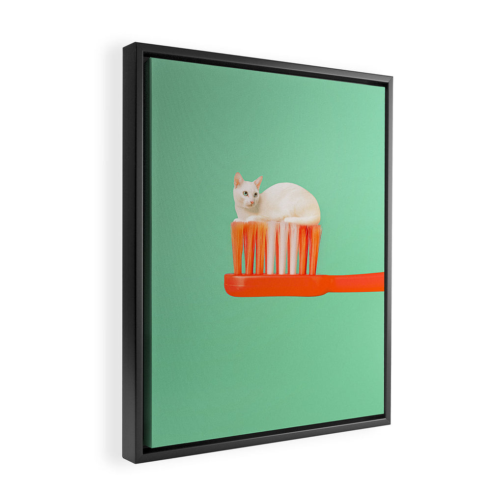 Toothpaste Cat Framed Canvas Print Gallery Image 2