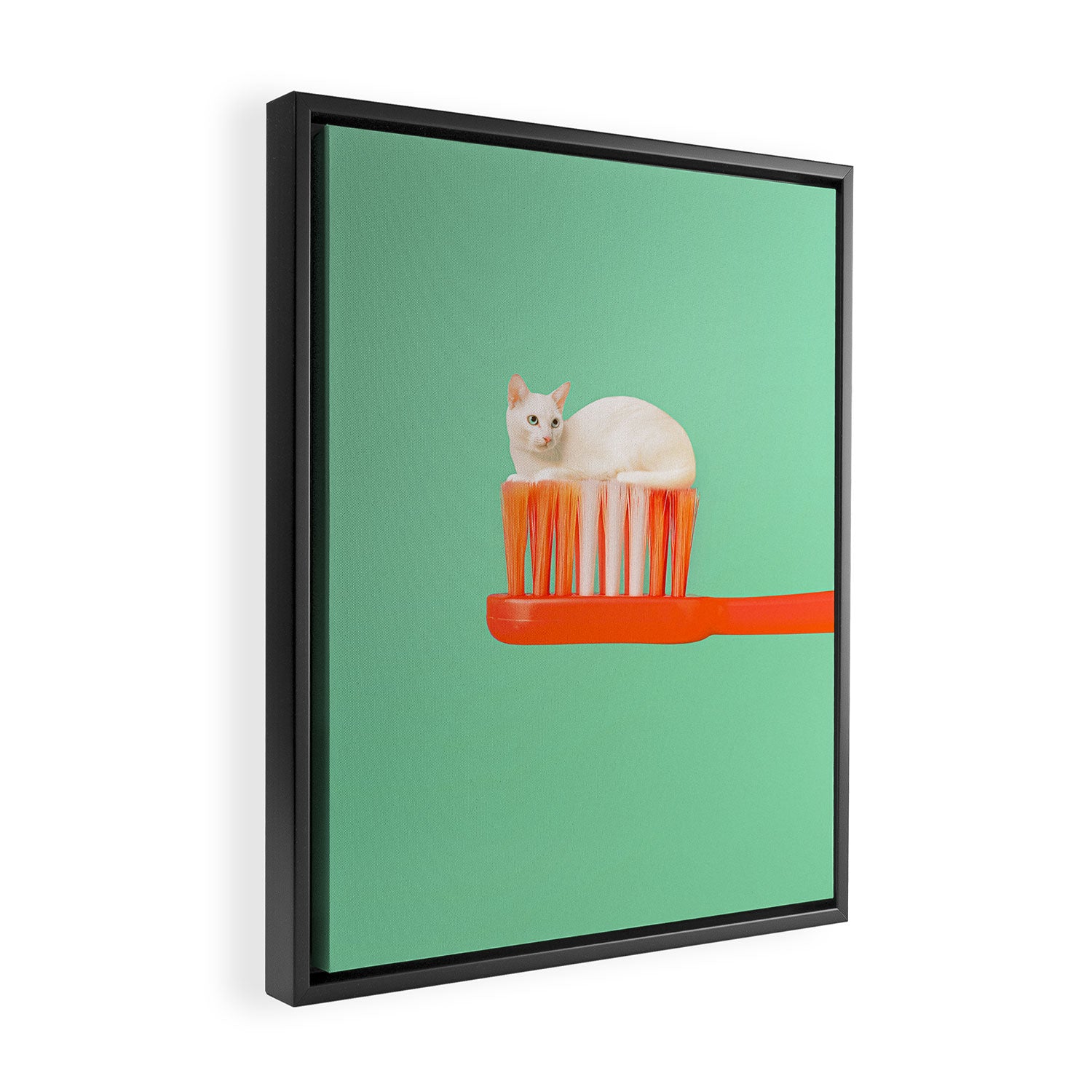 Toothpaste Cat Framed Canvas Print Gallery Image 2