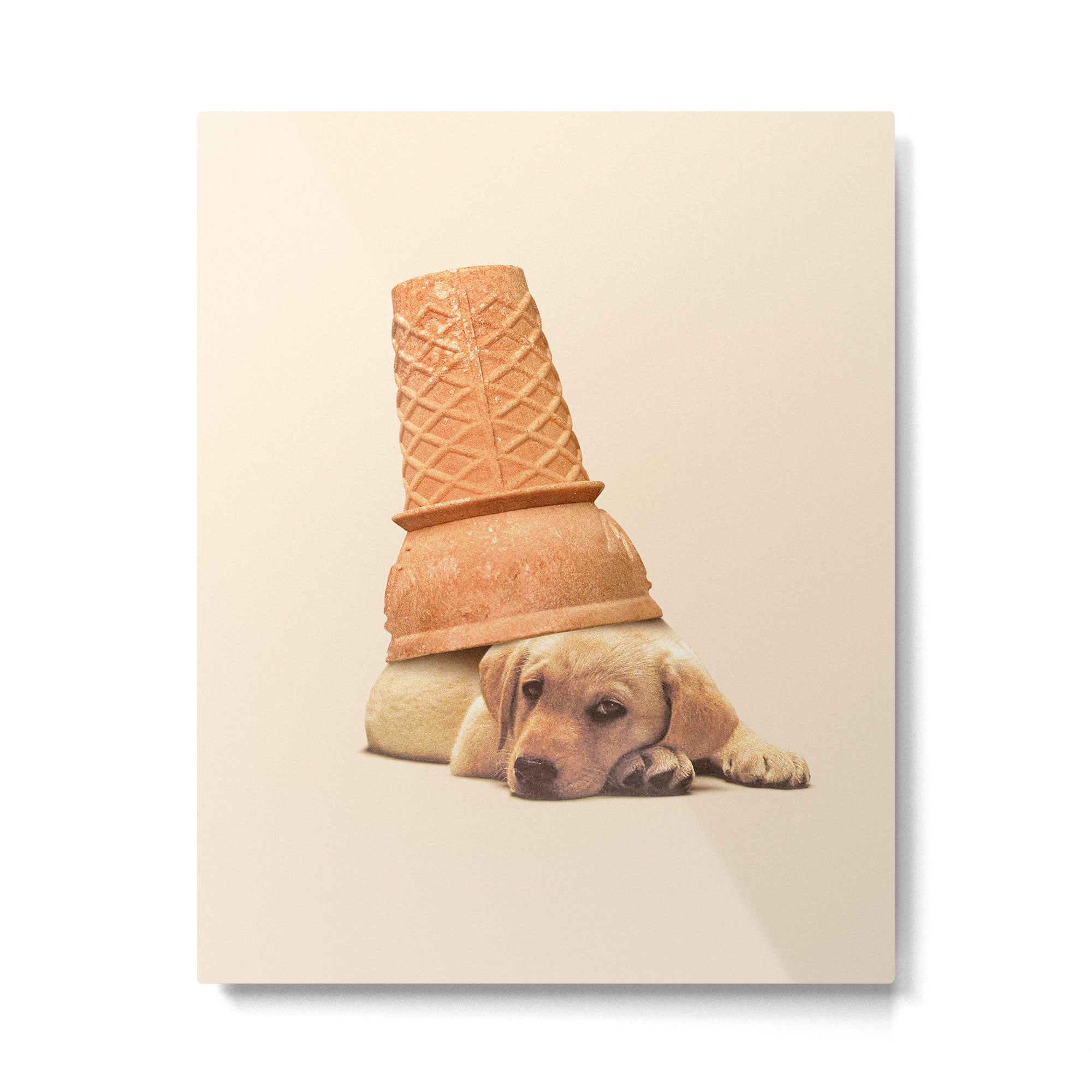 Underdog - Ice Cream Metal Print Gallery Image 6