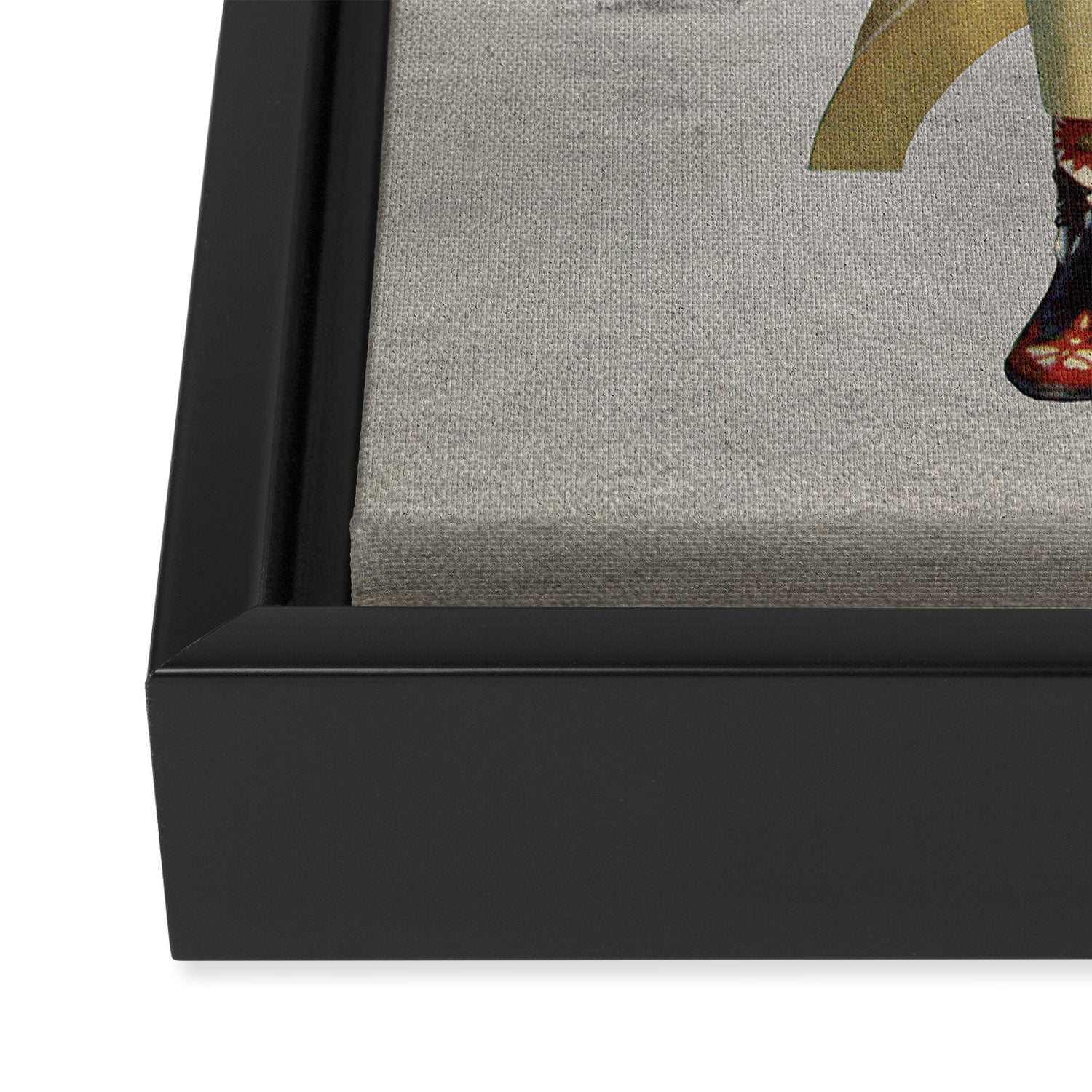 Yall Ready for This - Cat in the Desert Framed Canvas Print Gallery Image 3