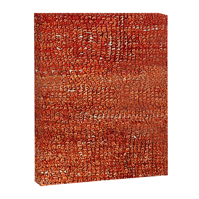 Bakhshaish Rug Detail Print Canvas Print Gallery Image 1