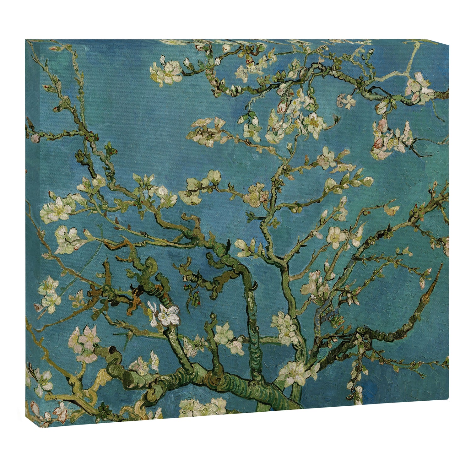 Blossoming Almond Tree Vincent Van Gogh Canvas Print Gallery Image 3