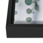 Eucalyptus Leaves and Branches Framed Canvas Print Gallery Image 3