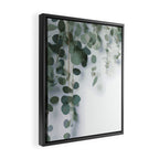 Eucalyptus Leaves and Branches Framed Canvas Print Gallery Image 2