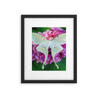 Luna Moth On Pink Hydrangea Nature Art Framed Art Print Gallery Image 4