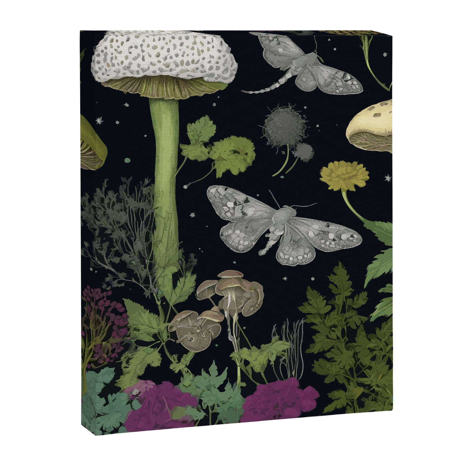 Mystery Night Garden with Moths Mushrooms and Hemlock Canvas Print Gallery Image 3
