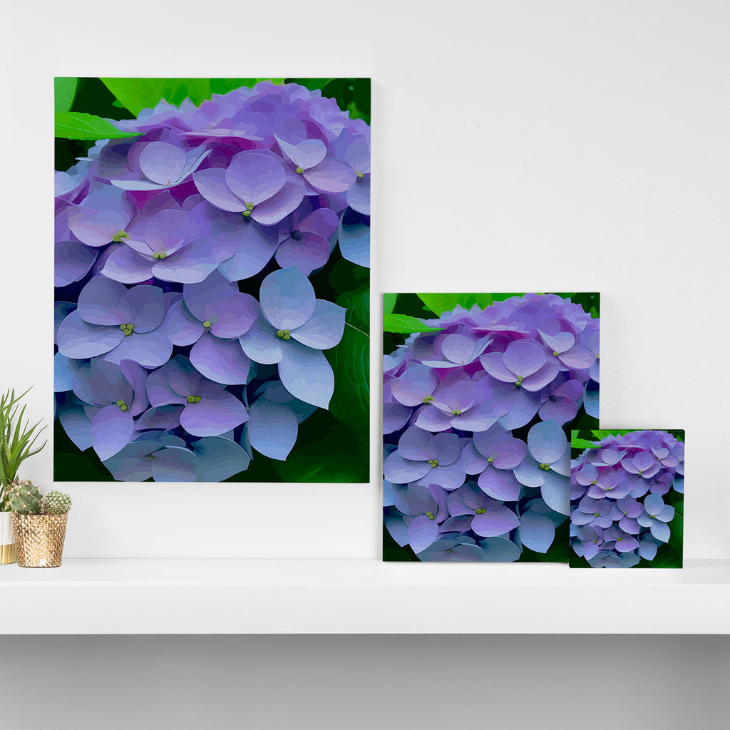 Pink and Blue Hydrangea Flower Color Variations Canvas Print Gallery Image 3