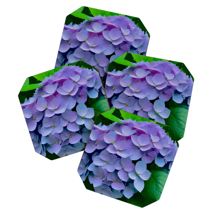 Pink and Blue Hydrangea Flower Color Variations Coaster Gallery Image 1
