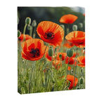 Red Poppy Garden Floral Landscape Canvas Print Gallery Image 8