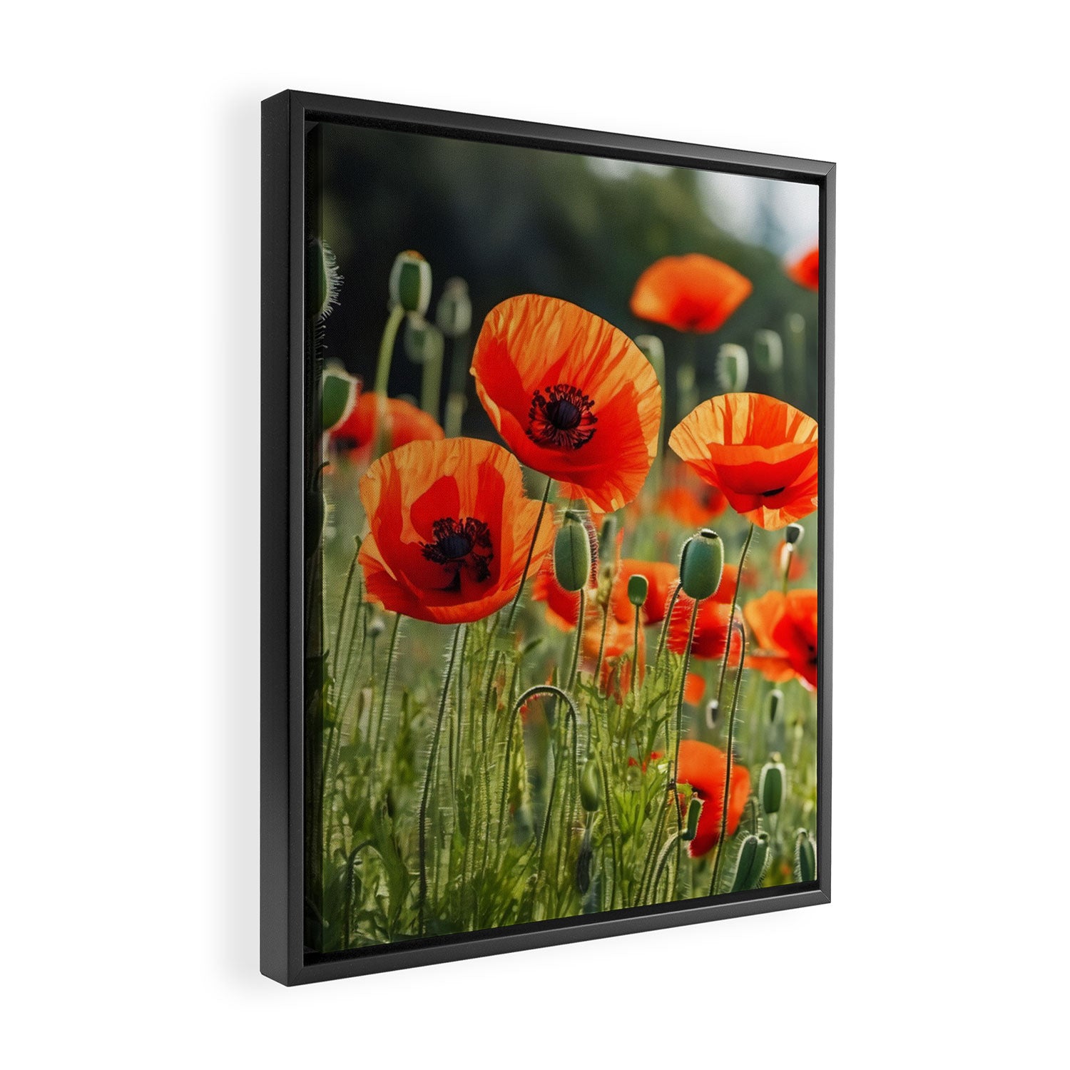 Red Poppy Garden Floral Landscape Framed Canvas Print Gallery Image 2