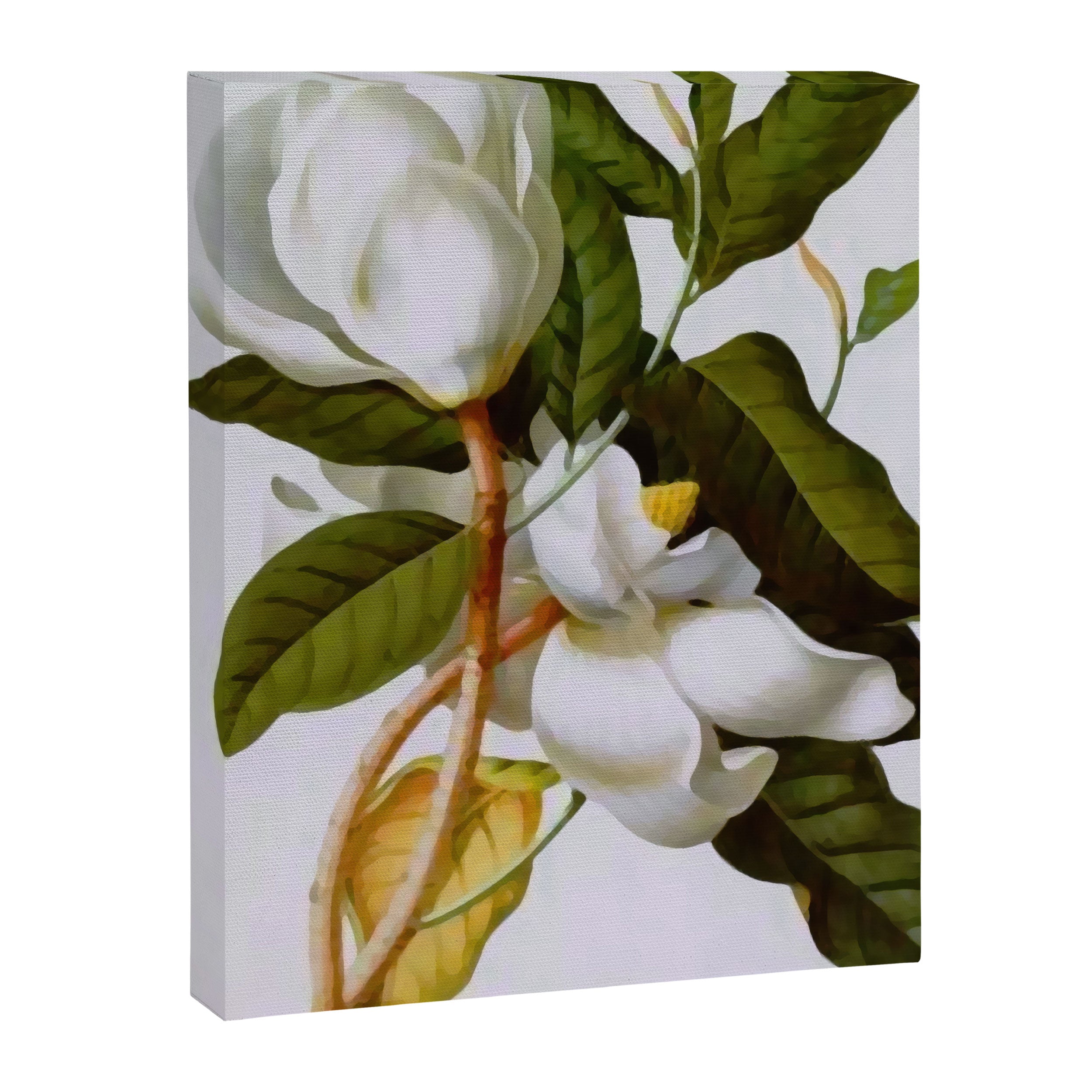 Vintage Botanical White Magnolia Flower Art Canvas Print Gallery Image 3