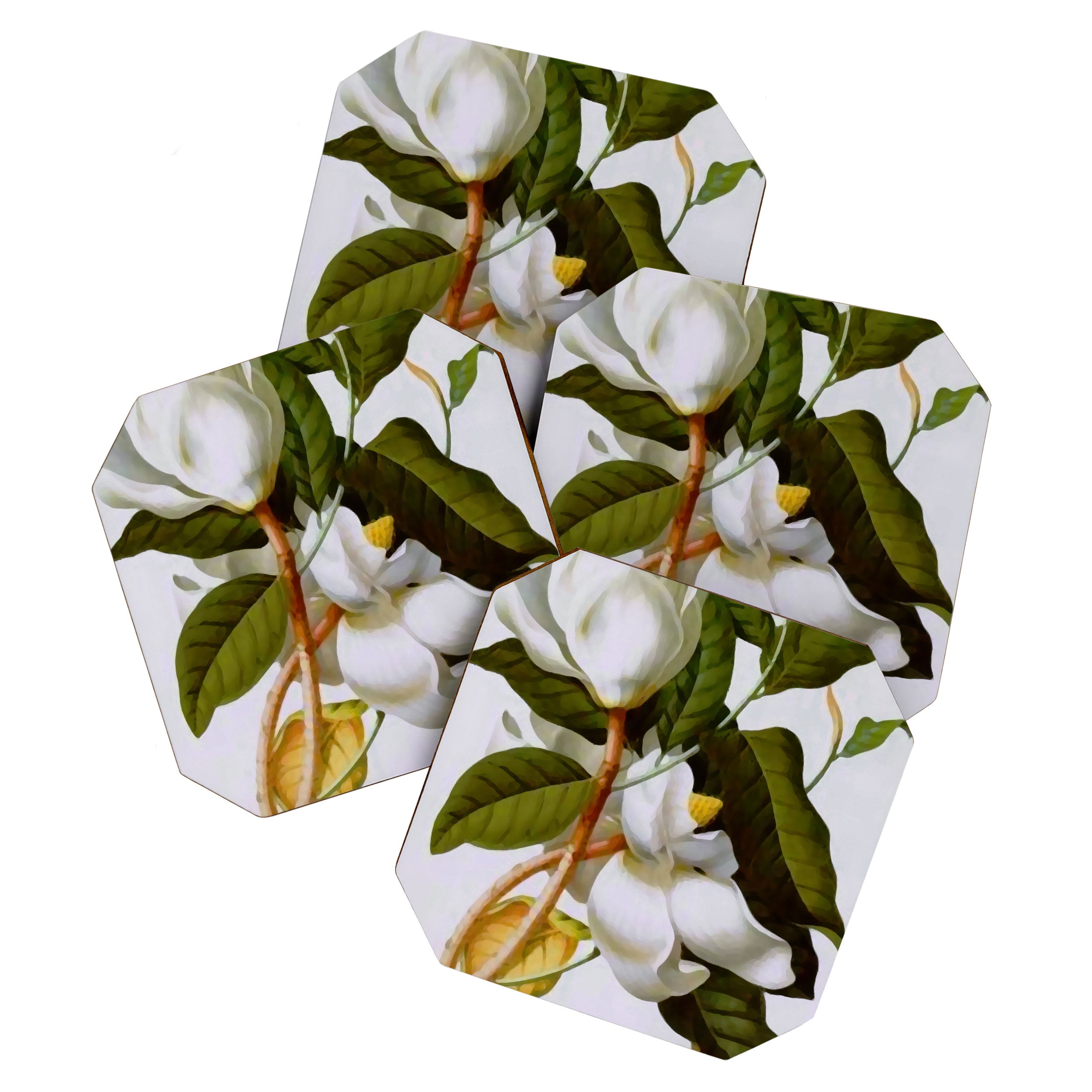Vintage Botanical White Magnolia Flower Art Coaster Gallery Image 1