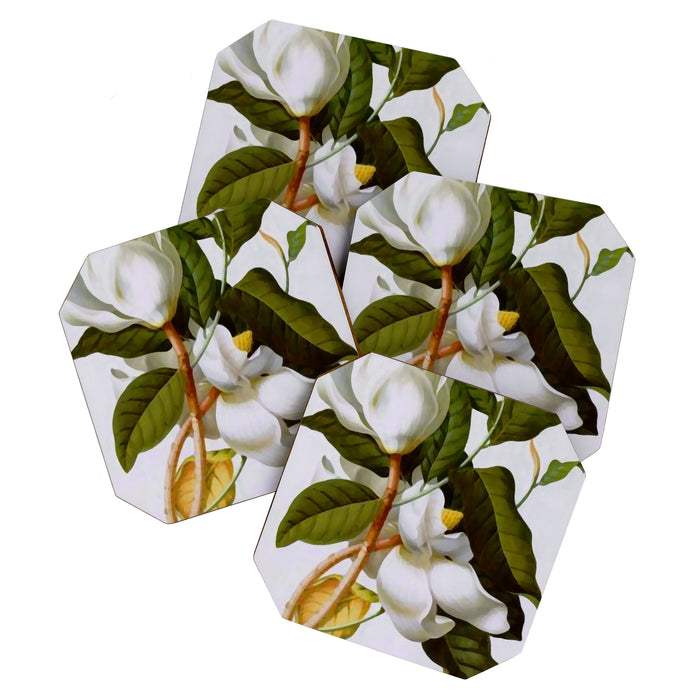 Vintage Botanical White Magnolia Flower Art Coaster Gallery Image 1