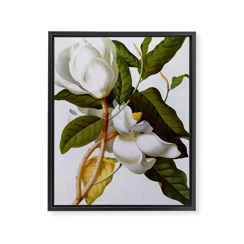Vintage Botanical White Magnolia Flower Art Framed Canvas Print Gallery Image 3