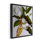 Vintage Botanical White Magnolia Flower Art Framed Canvas Print Gallery Image 2