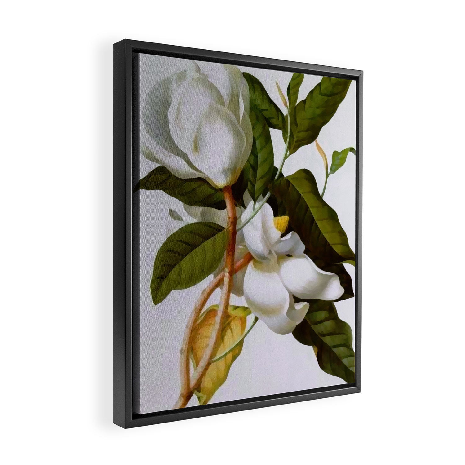 Vintage Botanical White Magnolia Flower Art Framed Canvas Print Gallery Image 2