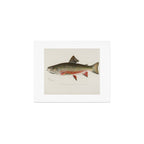 Trout fish Art Print Gallery Image 1