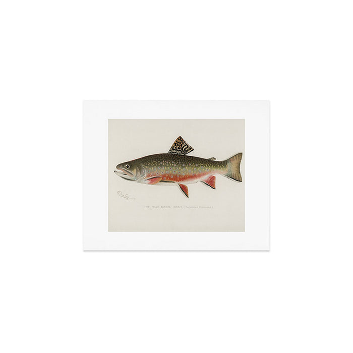 Trout fish Art Print Gallery Image 1