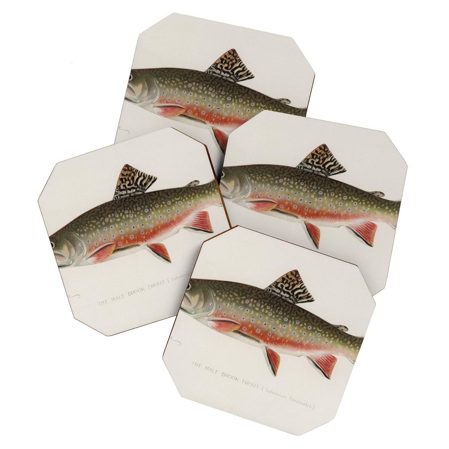 Trout fish Coaster Gallery Image 1
