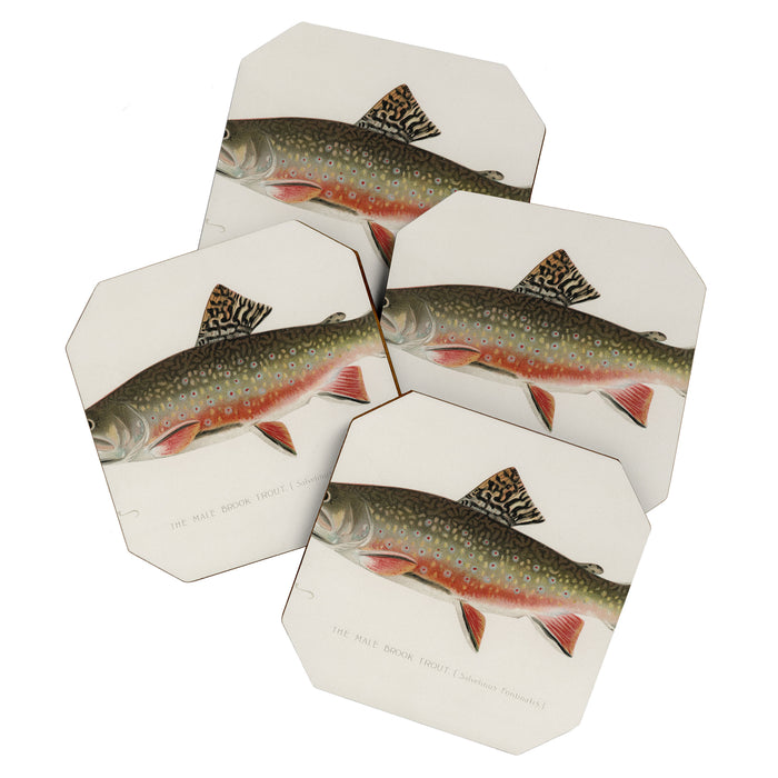 Trout fish Coaster Gallery Image 1