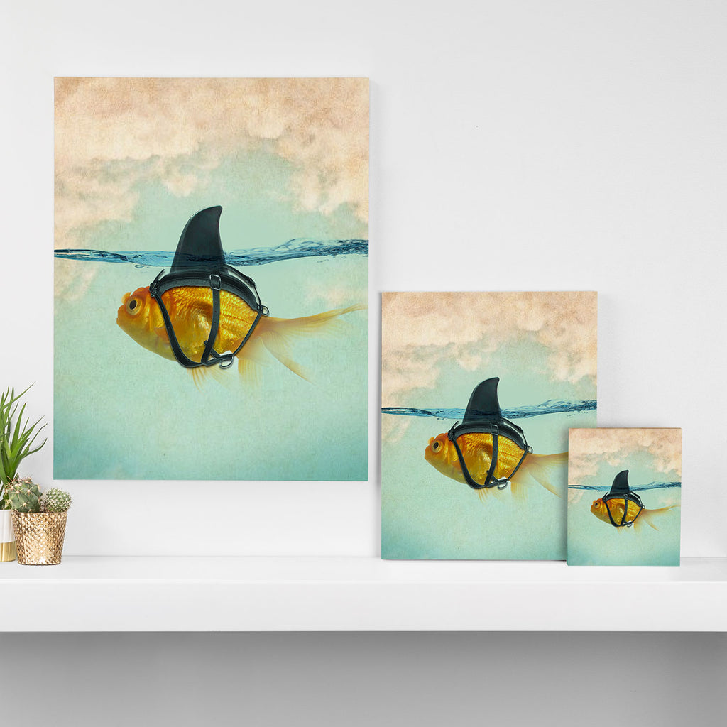 Brilliant DISGUISE - Goldfish with a Shark Fin Canvas Print Gallery Image 3