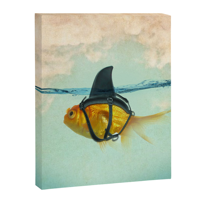 Brilliant DISGUISE - Goldfish with a Shark Fin Canvas Print Gallery Image 1
