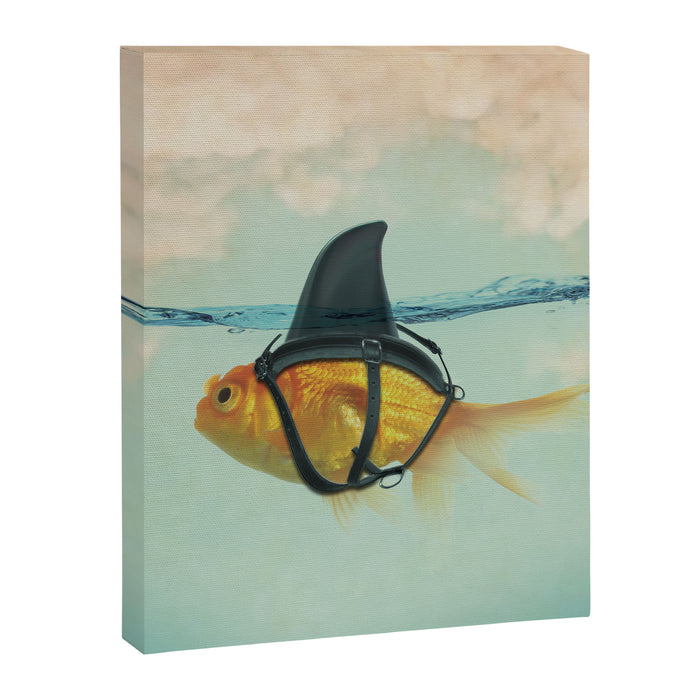 Brilliant Disguise (RM) Canvas Print Gallery Image 1